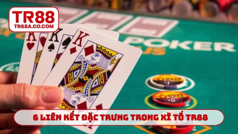 6 liên kết đặc trưng trong xì tố TR88