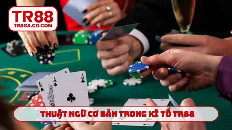 Thuật ngữ cơ bản trong xì tố TR88
